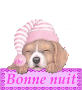 bonne nuit chien